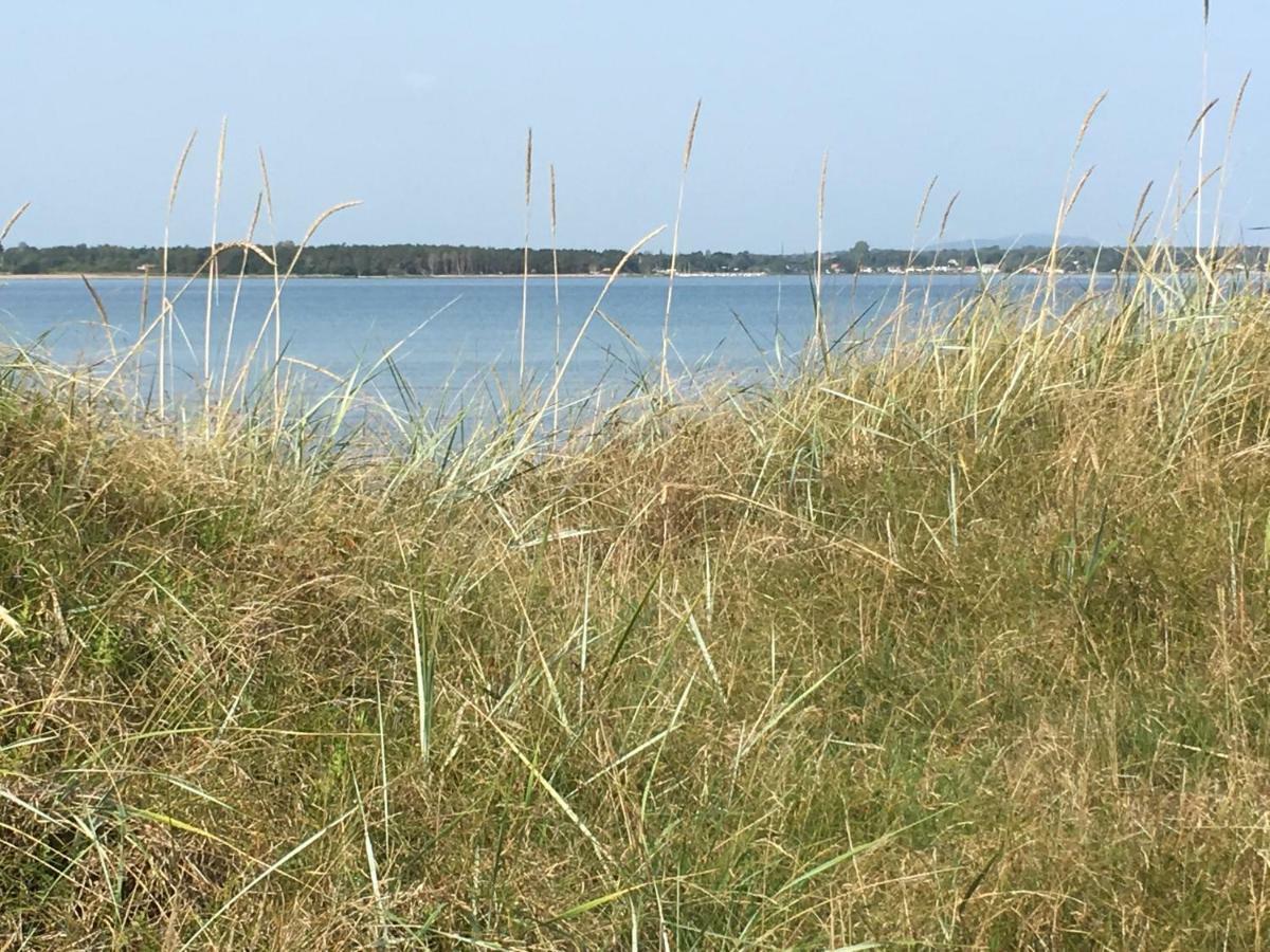 Smedsgarden Villa Höganäs Kültér fotó